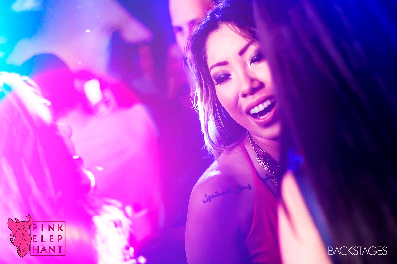 Pink Elephant Sorocaba SP 14.11.2016 Kenzi Marinho (3)